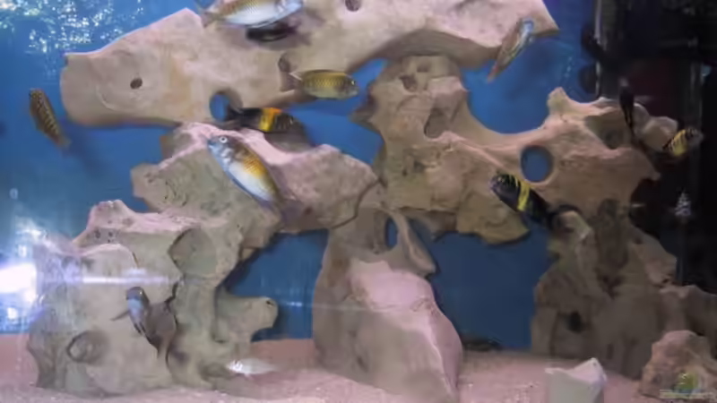 Aquarium Becken 115 von Karsten Garn (7)