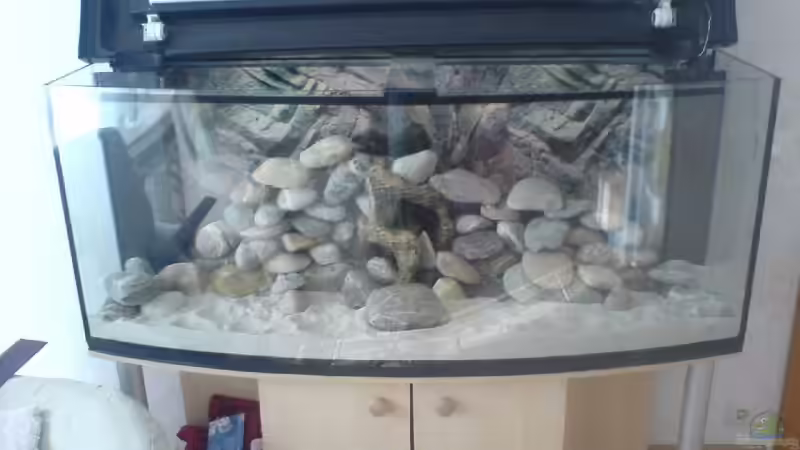 Aquarium Becken 11519 von Ahmet Degerli (3)