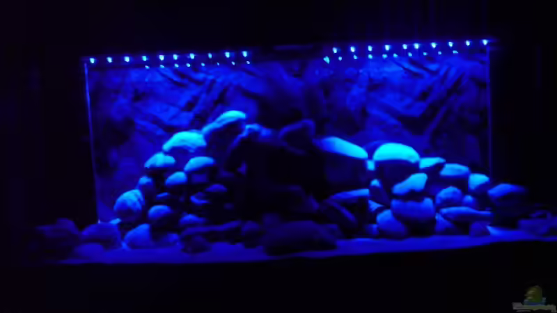 Aquarium Becken 11519 von Ahmet Degerli (4)