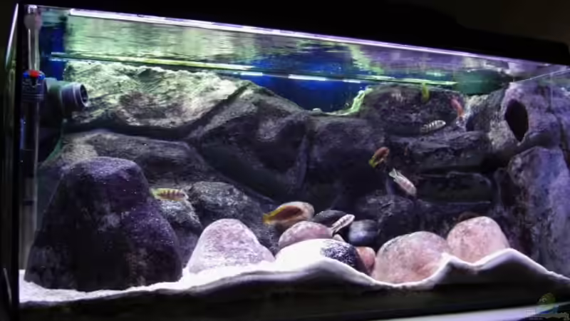 Aquarium Becken 11556 von jankov (4)