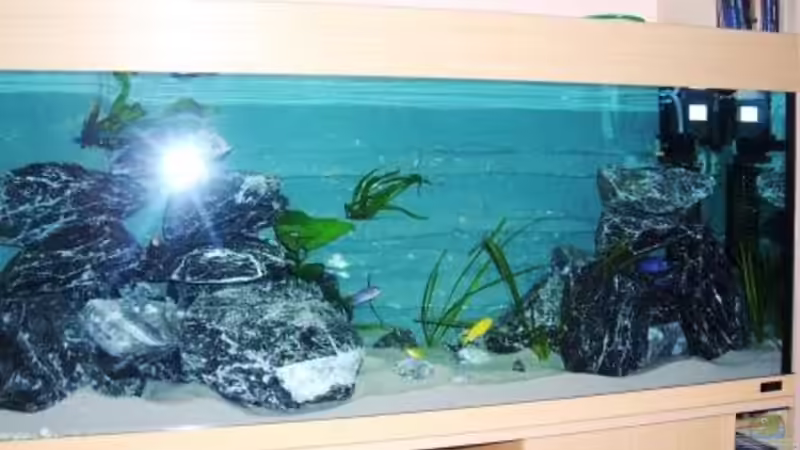 Aquarium Becken 11628 von rolli174 (3)