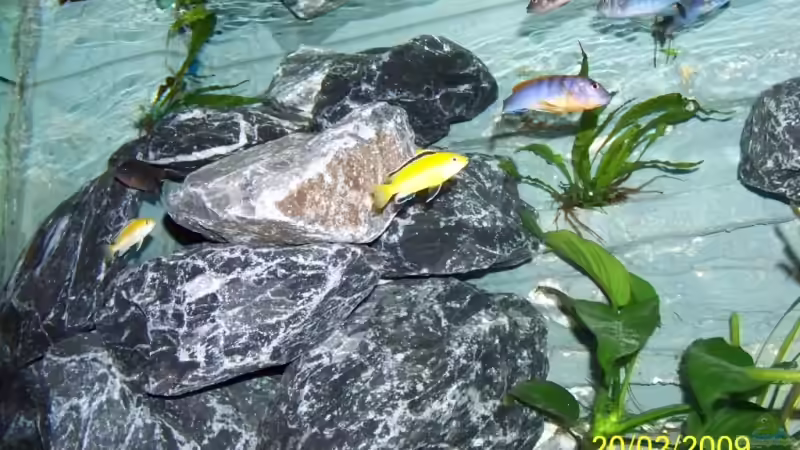 Aquarium Becken 11628 von rolli174 (6)