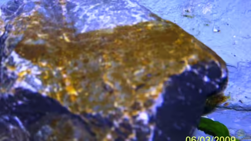 Aquarium Becken 11628 von rolli174 (7)