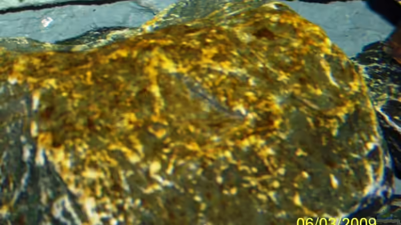 Aquarium Becken 11628 von rolli174 (8)