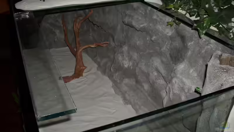 Aquarium Becken 11631 von Andre Rohde (2)