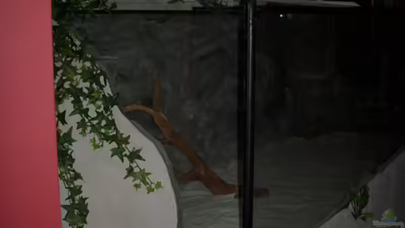 Aquarium Becken 11631 von Andre Rohde (5)