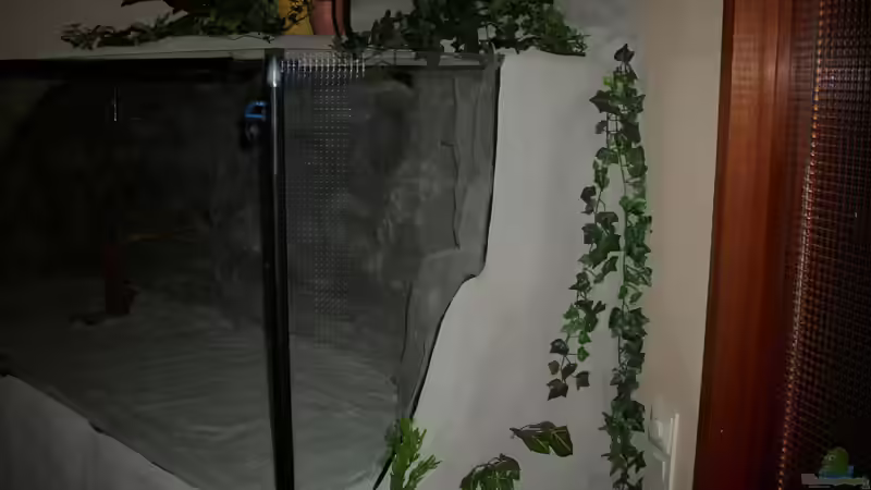 Aquarium Becken 11631 von Andre Rohde (6)
