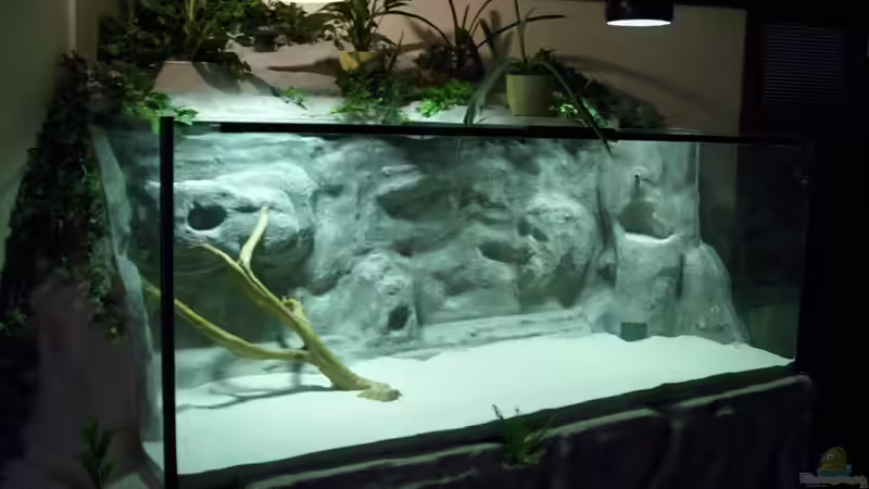 Aquarium Becken 11631 von Andre Rohde (7)