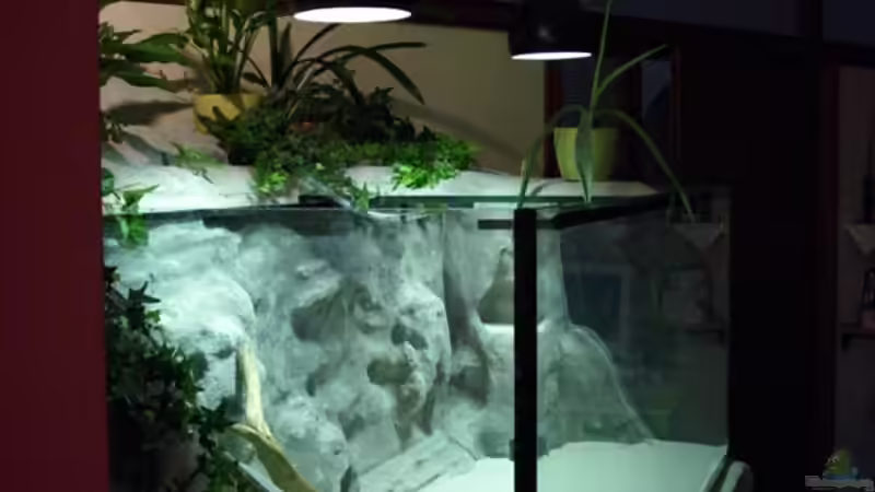 Aquarium Becken 11631 von Andre Rohde (8)