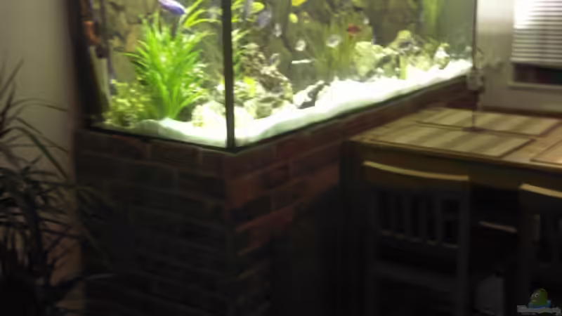 Aquarium Becken 11633 von Daniel Tenner (2)