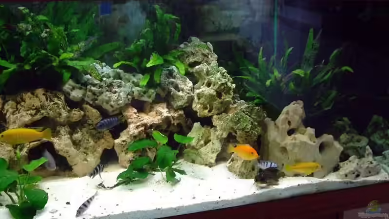 Aquarium Becken 11701 von Daywalker-one (3)