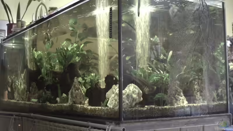 Aquarium Becken 11822 von Enrico Bochmann (2)