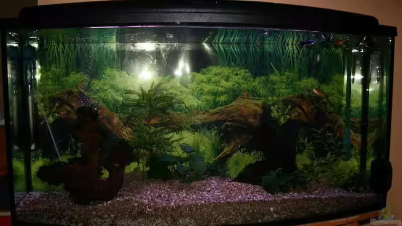 Aquarium Becken 11877 von Legolas_84 (2)