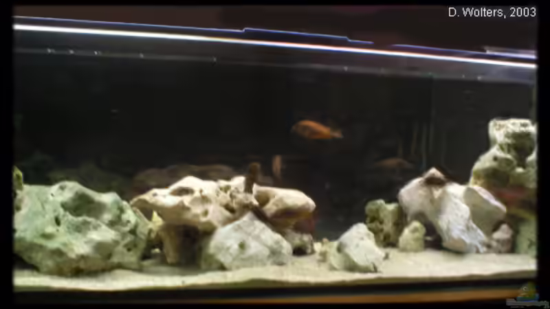 Aquarium Becken 119 von Dirk Wolters (2)