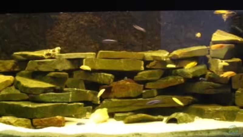 Aquarium Becken 11922 von nici (2)