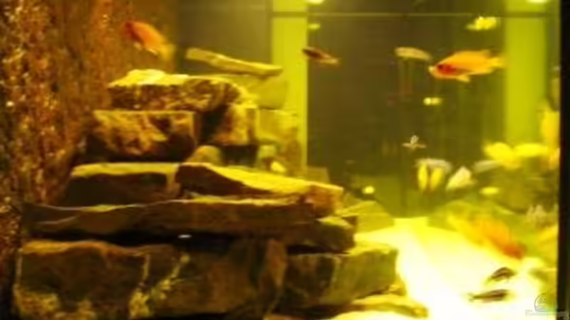 Aquarium Becken 11922 von nici (3)