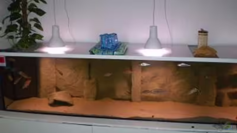 Aquarium Becken 11932 von Daniel Schneider (2)