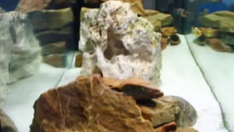 Aquarium Becken 11936 von nici (2)