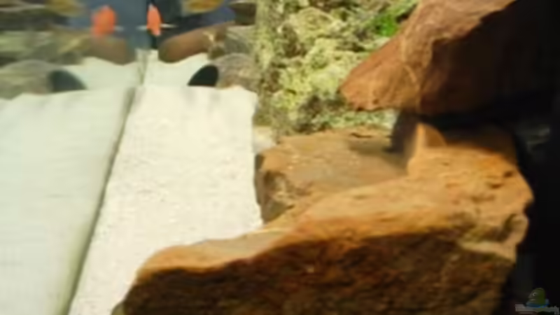 Aquarium Becken 11936 von nici (3)