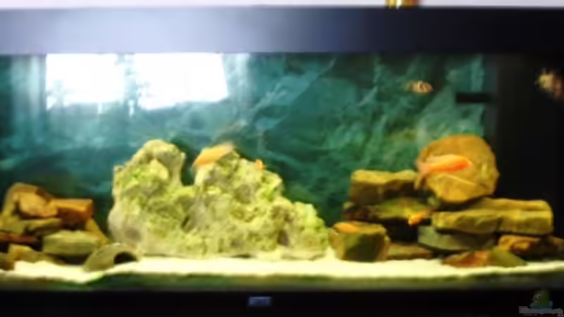 Aquarium Becken 11936 von nici (4)