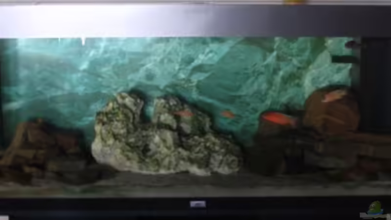 Aquarium Becken 11936 von nici (5)