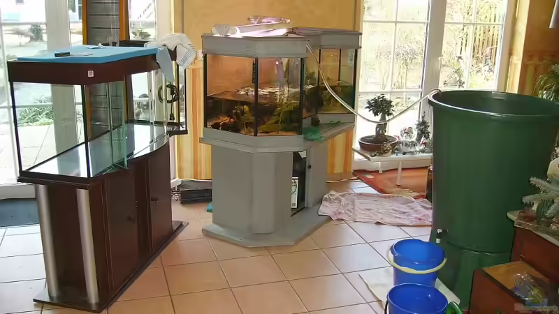 Aquarium Becken 11953 von WSS (4)