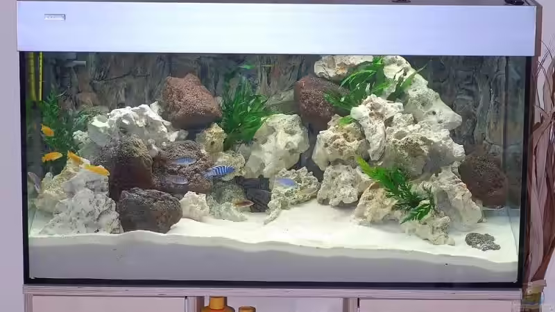 Aquarium Becken 11994 von Swen Rengers (2)