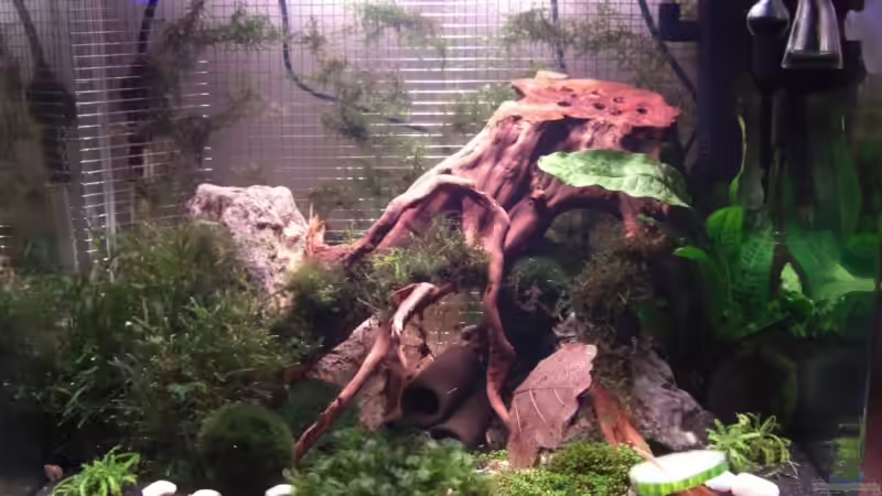 Aquarium Becken 12026 von Thorsten Kunkel (2)