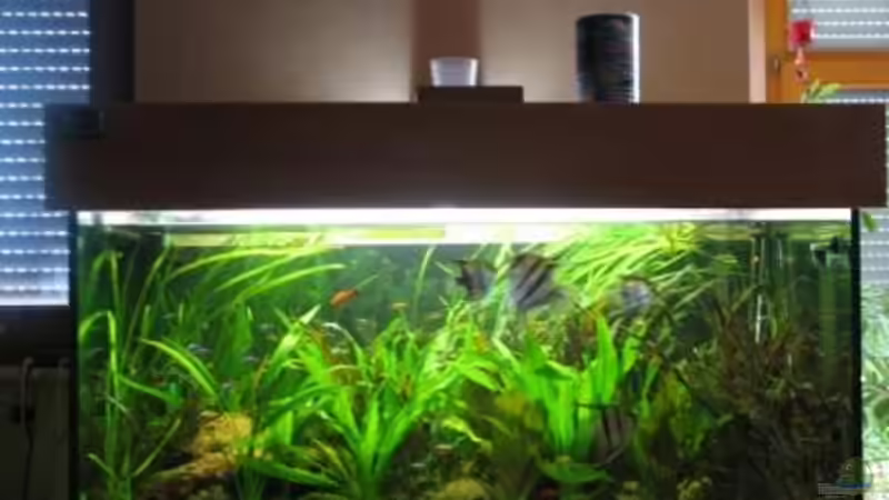 Aquarium Becken 12053 von Thomas Jordan (2)