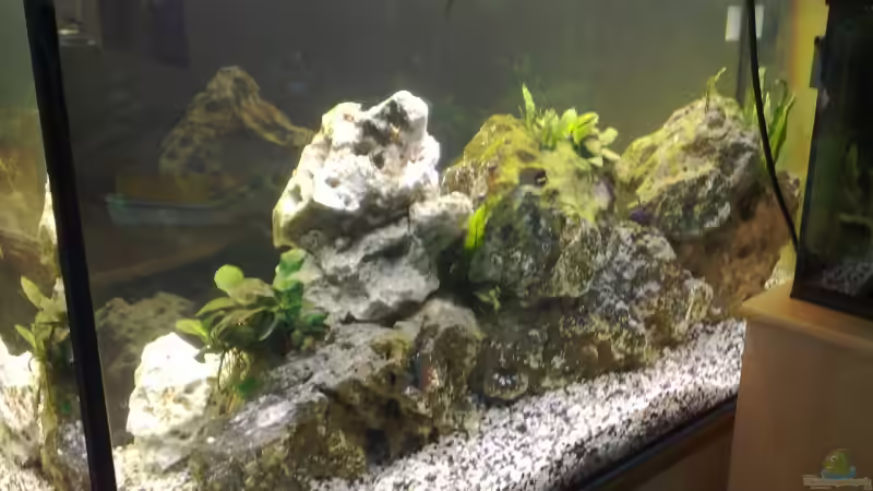 Aquarium Becken 12059 von Porklander (3)