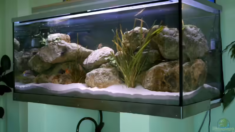 Aquarium Becken 1206 von Mathias Kern (2)