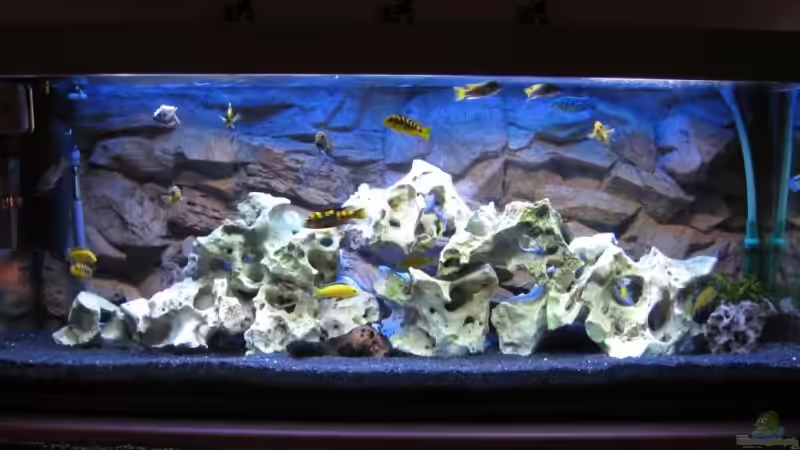 Aquarium Becken 12071 von matze32 (2)