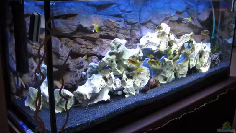 Aquarium Becken 12071 von matze32 (7)