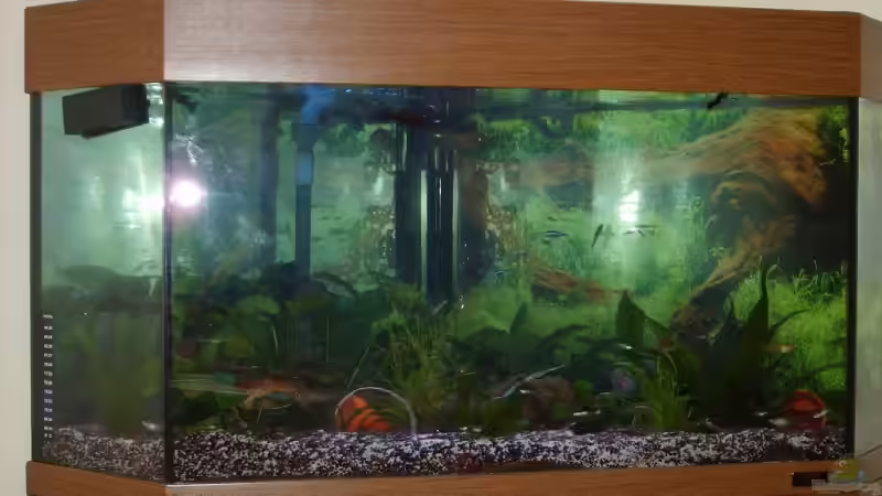 Aquarium Becken 12106 von Sebi82 (2)
