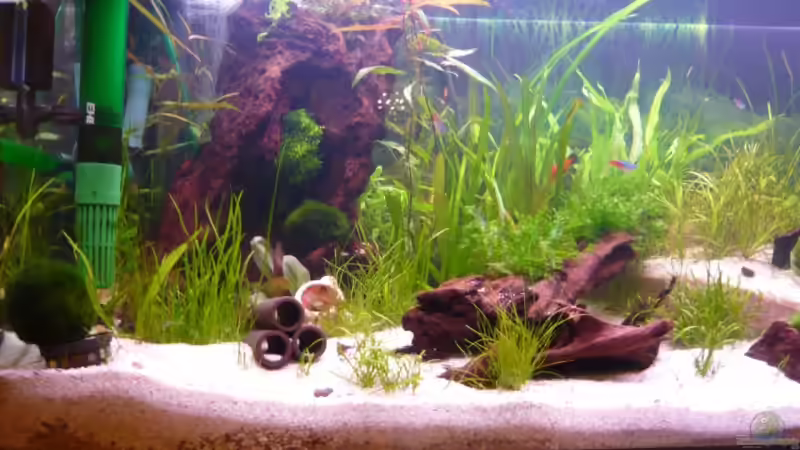 Aquarium Becken 12199 von Bohnellie (3)