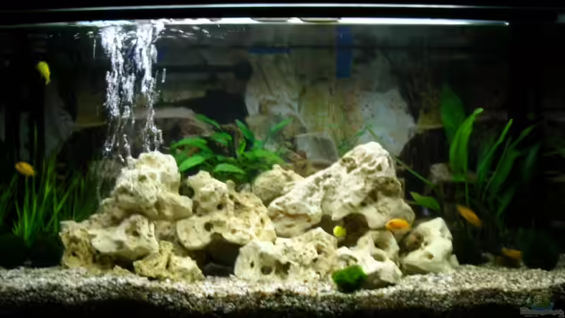 Aquarium Becken 12208 von Michael =) (2)