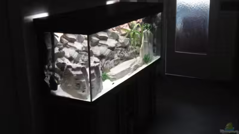 Aquarium Becken 12231 von LuckyHimself (2)