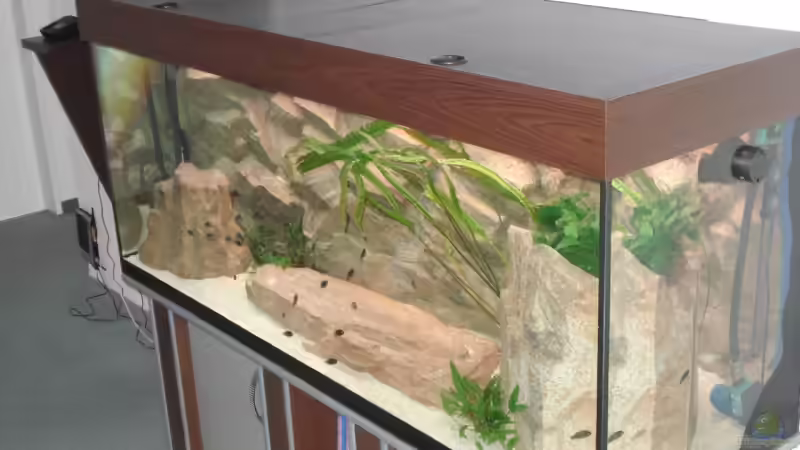 Aquarium Becken 12231 von LuckyHimself (3)