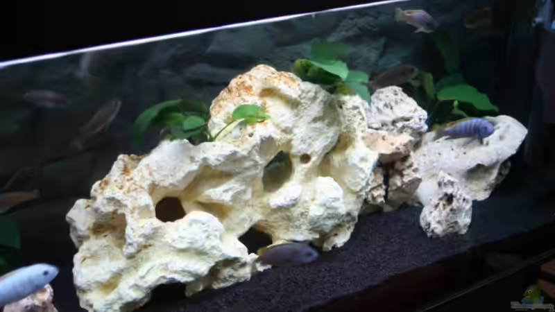 Aquarium Becken 12270 von firetux (4)