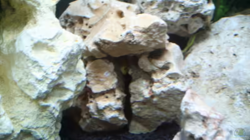 Aquarium Becken 12270 von firetux (5)