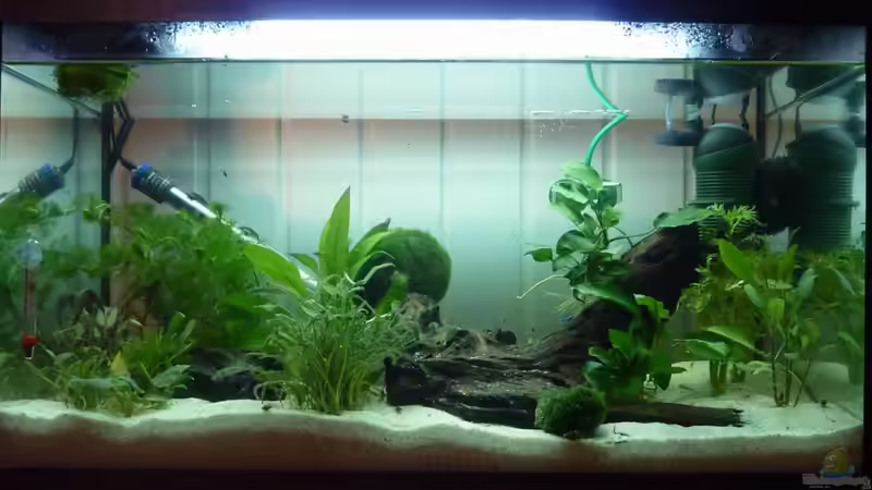 Aquarium Becken 12272 von Sonja (4)