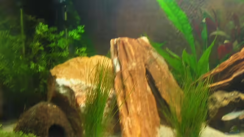 Aquarium Becken 12274 von julchen (3)