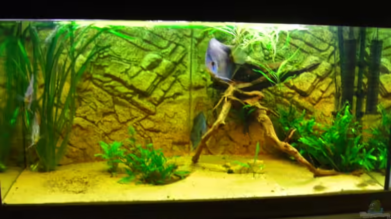 Aquarium Becken 12280 von Eichi82 (6)
