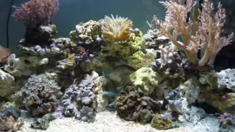 Aquarium Becken 12314 von jerryjames (2)