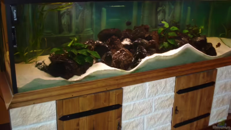 Aquarium Becken 12363 von blitzer (3)