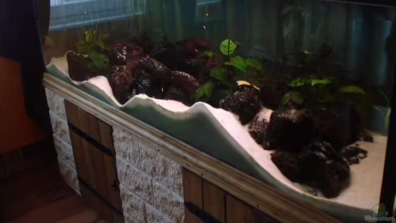 Aquarium Becken 12363 von blitzer (4)