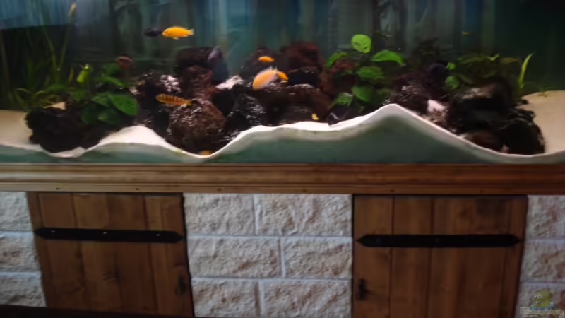 Aquarium Becken 12363 von blitzer (5)