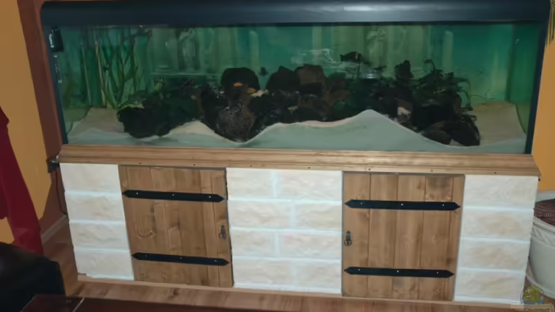 Aquarium Becken 12363 von blitzer (8)