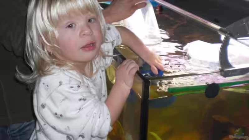 Aquarium Becken 12365 von Sascha Becker (2)