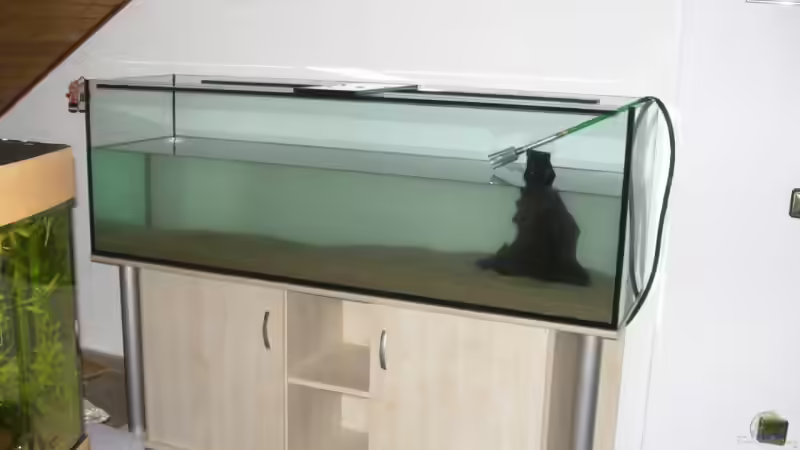 Aquarium Becken 12421 von Hamberger (5)